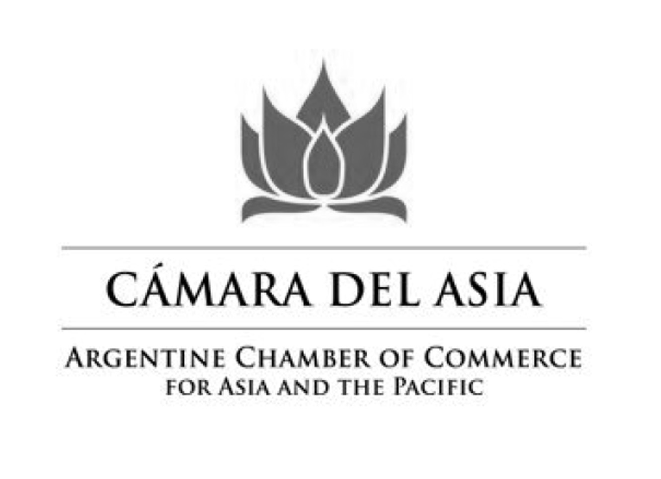 Cámara del Asia