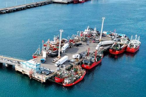 Rosario estrena el muelle de su Terminal Fluvial | Interborders